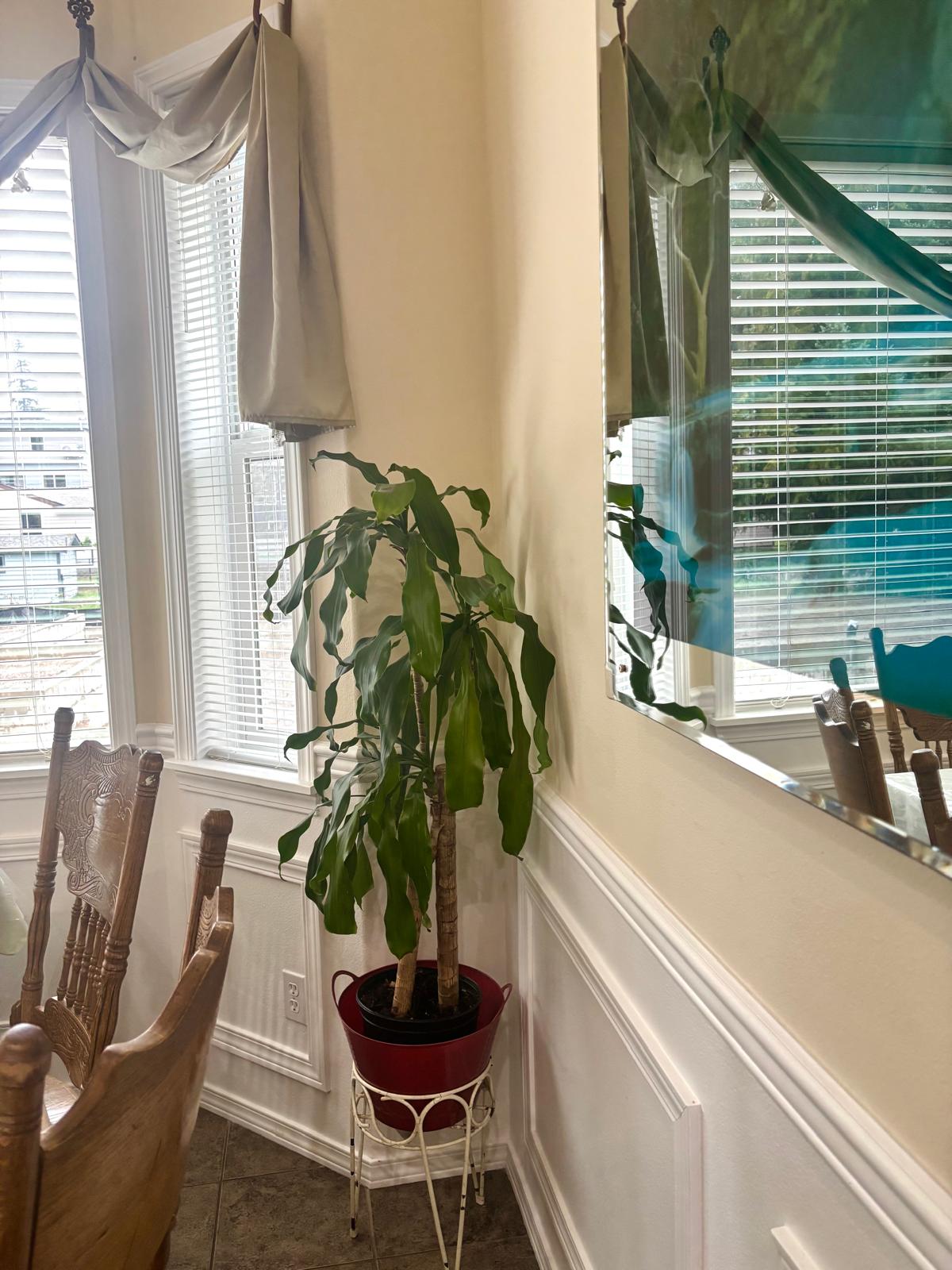 Edmonds Villa dining room